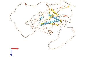 TROAP Protein (AA 1-668) (His tag)