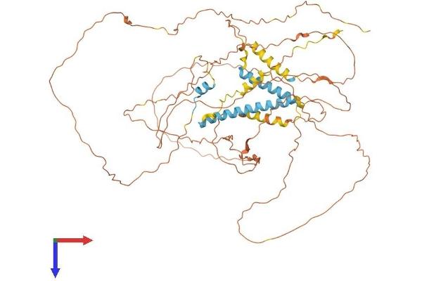 TROAP Protein (AA 1-668) (His tag)