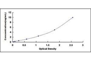 Typical standard curve (KRT4 ELISA Kit)