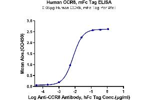 ELISA image for Chemokine (C-C Motif) Receptor 8 (CCR8) (AA 1-35) protein (mFc Tag) (ABIN7274054)