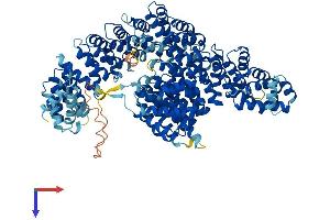 Importin 4 Protein (IPO4) (AA 1-1082) (His tag)
