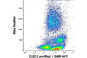 Flow cytometry surface staining pattern of human peripheral whole blood stained using anti-human CLEC2 (AYP1) purified antibody (concentration in sample 1,7 μg/mL, GAM APC). (C-Type Lectin Domain Family 1, Member B (CLEC1B) (AA 68-229), (Extracellular Domain) Antikörper)