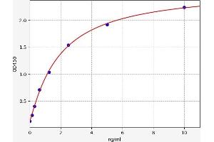 Typical standard curve