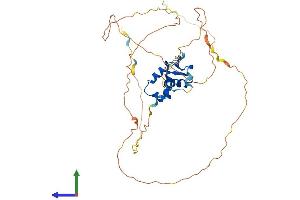 AlphaFold protein structure predicition of Mouse Recombinant Foxf1 Protein, UniprotID Q61080 (FOXF1 Protein (AA 1-378) (His tag))