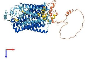 SLC5A3 Protein (AA 1-718) (His tag)