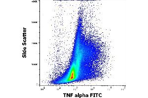 Flow cytometry intracellular staining pattern of human PHA stimulated peripheral blood mononuclear cells stained using anti-human TNF alpha (MAb11) FITC antibody (4 μL reagent per milion cells in 100 μL of cell suspension). (TNF alpha Antikörper  (FITC))