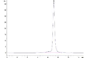 The purity of Human LILRB4 is greater than 95 % as determined by SEC-HPLC.