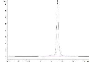 The purity of Human LILRB4 is greater than 95 % as determined by SEC-HPLC. (LILRB4 Protein (AA 22-257) (His-Avi Tag))
