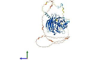 AlphaFold protein structure predicition of Human Recombinant WDR76 Protein, UniprotID Q9H967 (WDR76 Protein (AA 1-626) (His tag))
