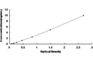 Typical standard curve (CCKBR ELISA Kit)