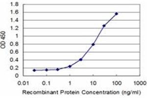 Detection limit for recombinant GST tagged SMAD7 is approximately 1ng/ml as a capture antibody. (SMAD7 Antikörper  (AA 160-260))
