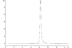 Size-exclusion chromatography-High Pressure Liquid Chromatography (SEC-HPLC) image for Selectin L (SELL) (AA 39-332) protein (His tag) (ABIN7275556)