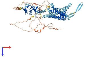 Kv3.4 Protein (AA 1-628) (His tag)