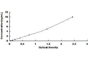 Typical standard curve (DKK1 ELISA Kit)