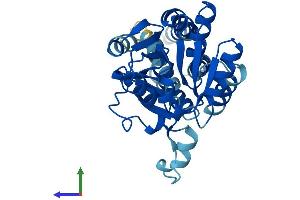 Protein Structure (PS) image for Eukaryotic Translation Initiation Factor 2B, Subunit 1 Alpha, 26kDa (EIF2B1) (AA 1-305) protein (His tag) (ABIN7547292)