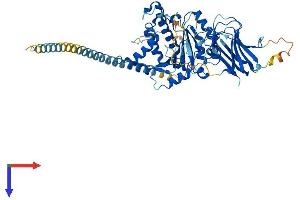 MGAT4B Protein (AA 1-548) (His tag)