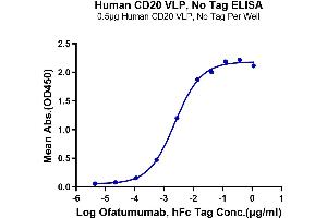 Immobilized Human CD20 VLP at 5 μg/mL (100 μL/Well) on plate on the plate. (CD20 Protein-VLP (AA 1-297))