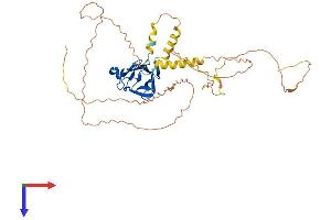 PAS1C1 Protein (AA 1-413) (His tag)