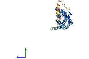 Protein Structure (PS) image for omega-3 Fatty Acid Receptor 1 (O3FAR1) (AA 1-361) protein (His tag) (ABIN7564187)