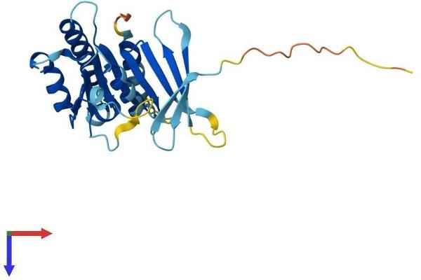 SWSAP1 Protein (AA 1-229) (His tag)