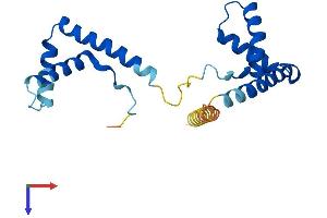 HMGB3 Protein (AA 1-200) (His tag)