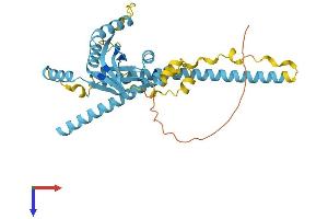 EIF3H Protein (AA 1-352) (His tag)