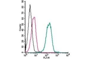 Flow Cytometry (FACS) image for anti-Purinergic Receptor P2X, Ligand-Gated Ion Channel, 7 (P2RX7) (AA 136-152), (Extracellular) antibody (ABIN7043578)