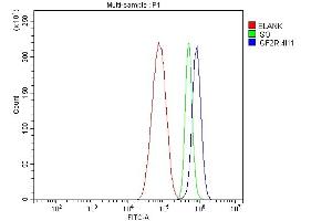 Flow Cytometry analysis of HepG2 cells using anti-IGF2R antibody (ABIN7601705). (IGF2R Antikörper  (AA 424-529))