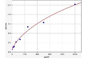 TGFB3 ELISA Kit