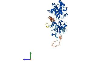 Protein Structure (PS) image for Fucosyltransferase 4 (Alpha (1,3) Fucosyltransferase, Myeloid-Specific) (FUT4) (AA 1-433) protein (His tag) (ABIN7556963)