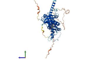 Protein Structure (PS) image for tRNA Methyltransferase 6 Homolog (TRMT6) (AA 1-497) protein (His tag) (ABIN7544688)