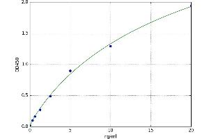 A typical standard curve