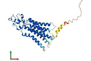 Protein Structure (PS) image for Phosphatidic Acid Phosphatase Type 2C (PPAP2C) (AA 1-288) protein (His tag) (ABIN7550740)