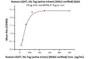 Immobilized Human HVEM, Fc Tag (ABIN2181235,ABIN6253723) at 5 μg/mL (100 μL/well) can bind Human LIGHT, His Tag (active trimer) (MALS verified) (ABIN6951012,ABIN6952255) with a linear range of 16-63 ng/mL (QC tested). (TNFSF14 Protein (AA 74-240) (His tag))
