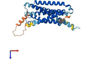 MC5 Receptor Protein (AA 1-325) (His tag)