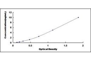 Typical standard curve (CHD4 ELISA Kit)