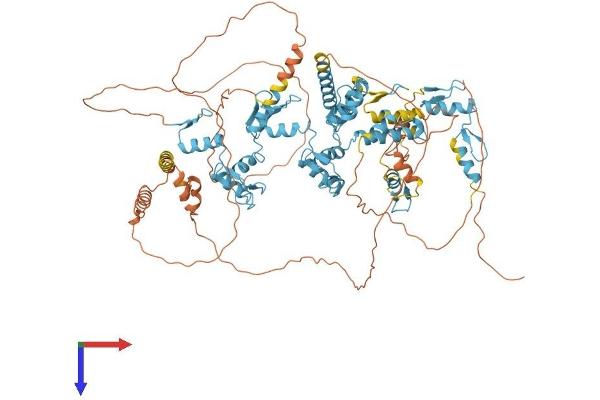 ZKSCAN5 Protein (AA 1-839) (His tag)