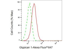 Flow cytometric analysis of Glypican 1 expression in HepG2 cells using Glypican 1 antibody (ABIN7798788), 1:1,000). (Rekombinanter GPC1 Antikörper)