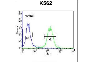 Flow cytometric analysis of K562 cells (right histogram) compared to a negative control cell (left histogram). (Galanin Receptor 1 Antikörper  (AA 174-200))