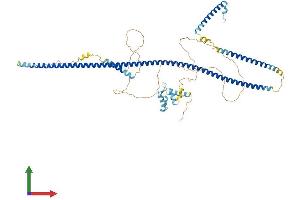 Protein Structure (PS) image for RAB11 Family Interacting Protein 4 (Class II) (RAB11FIP4) (AA 1-637) protein (His tag) (ABIN7555209)