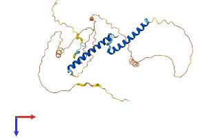 OLIG2 Protein (AA 1-323) (His tag)