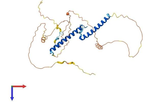 OLIG2 Protein (AA 1-323) (His tag)