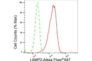 Flow cytometric analysis of LAMP2 expression in HeLa cells using LAMP2 antibody (ABIN7799310), 1:2,000). (Rekombinanter LAMP2 Antikörper)