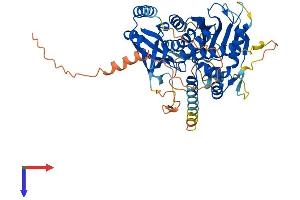 LGSN Protein (AA 1-509) (His tag)