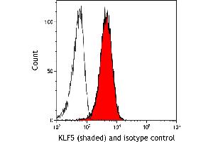 Flow Cytometry (FACS) image for anti-Kruppel-Like Factor 5 (Intestinal) (KLF5) (AA 325-375) antibody (ABIN7795630)
