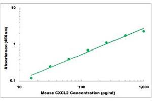 Representative Standard Curve (CXCL2 ELISA Kit)