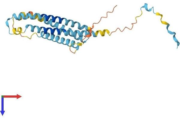 LAPTM4A Protein (AA 1-233) (His tag)