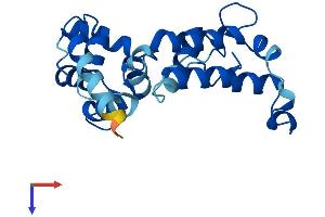 CAPSL Protein (AA 1-208) (His tag)
