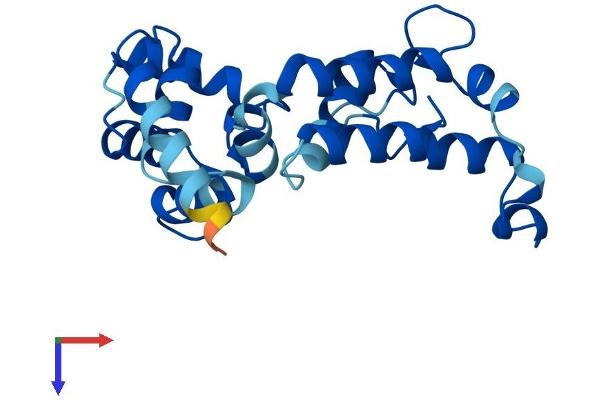 CAPSL Protein (AA 1-208) (His tag)
