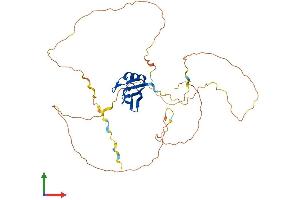 AlphaFold protein structure predicition of Mouse Recombinant Rbfox3 Protein, UniprotID Q8BIF2 (NeuN Protein (AA 1-374) (His tag))